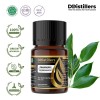 10ML GS 